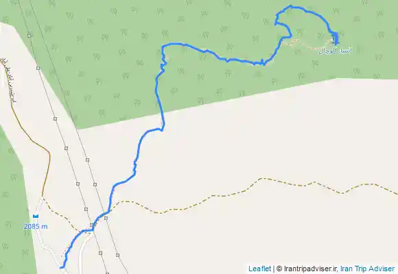 ترک جی پی اس Cloud Forest جنگل ابر