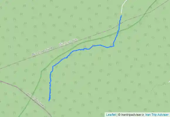 ترک جی پی اس دیه گاه فومن