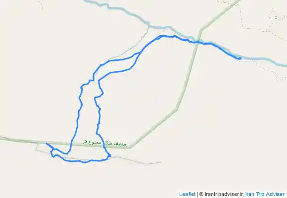 ترک جی پی اس گل زرد