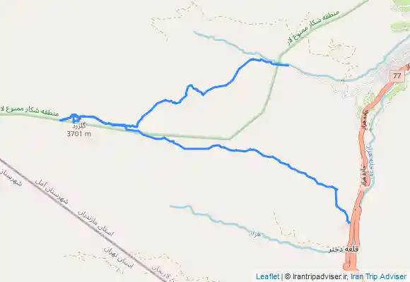 ترک جی پی اس گل زرد