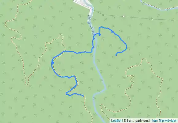 ترک جی پی اس کمپ جنگلی