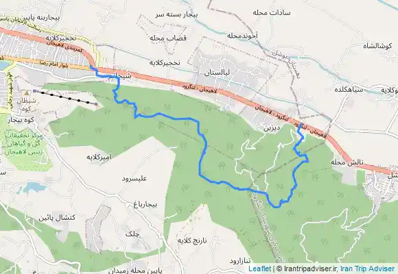 ترک جی پی اس دیزبن، شیخ زاهد