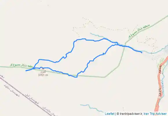 ترک جی پی اس گل زرد