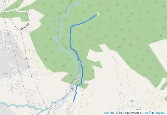 ترک جی پی اس کمپینگ جنگل های کردیچال،چمنی (Grass)