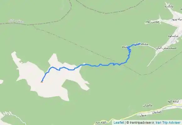 ترک جی پی اس آلیان به تريشوم