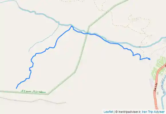 ترک جی پی اس گل زرد