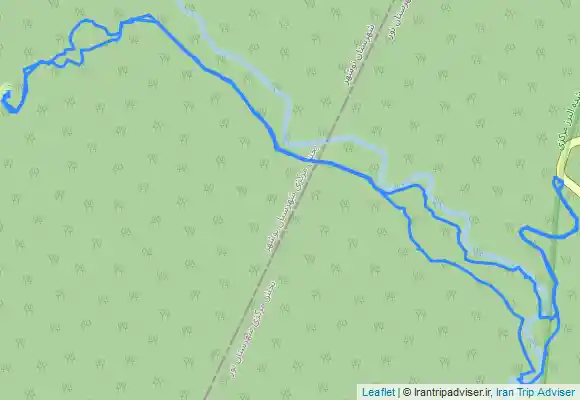 ترک جی پی اس مرداب جنگلی انجیلیسا