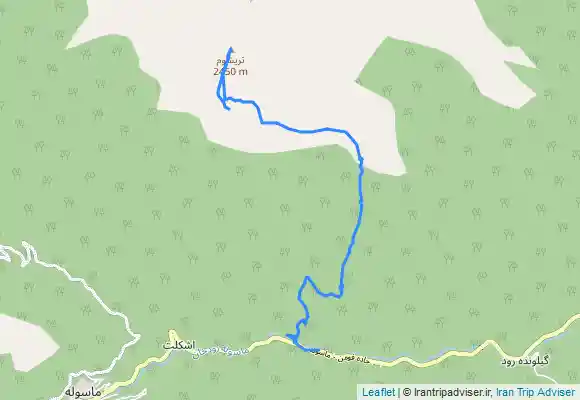 ترک جی پی اس تریشوم