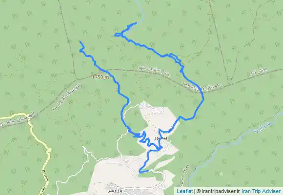 ترک جی پی اس Pianboor swamp