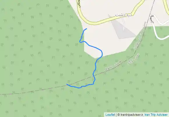 ترک جی پی اس جنگل چی دشت