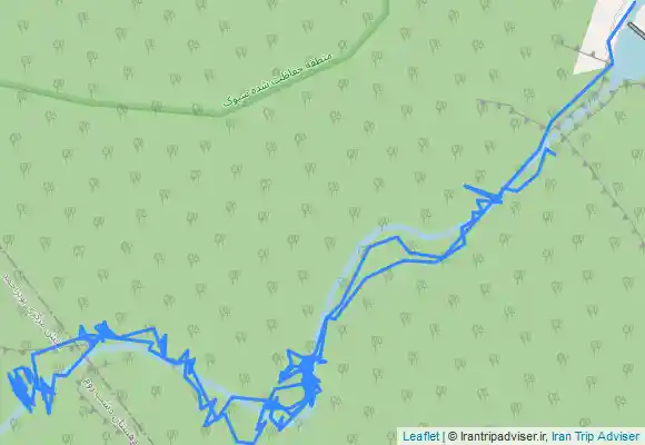 ترک جی پی اس Dom Tang