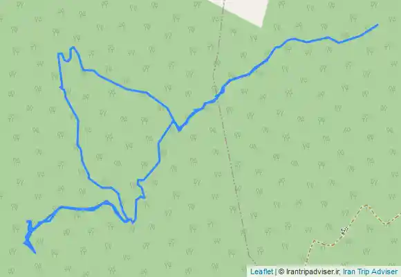 ترک جی پی اس رنگو