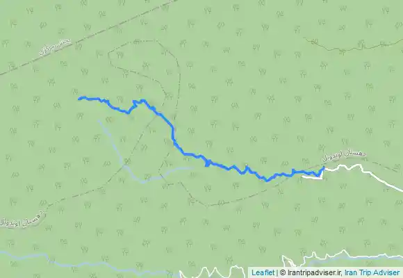 ترک جی پی اس لاتون