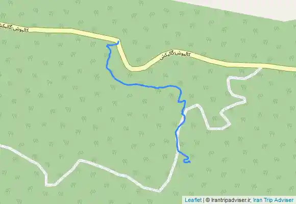 ترک جی پی اس ابشار پیرغار