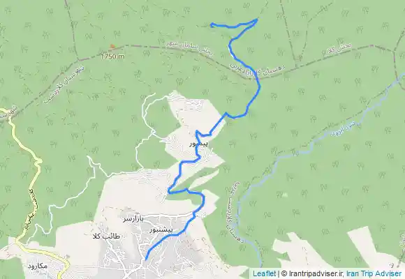 ترک جی پی اس مرداب دریوک