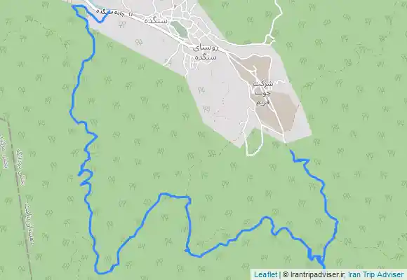 ترک جی پی اس سنگده مسیر جنگلی