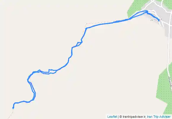 ترک جی پی اس درب رز