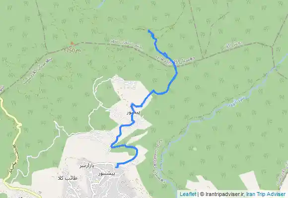 ترک جی پی اس Daryouk swamp