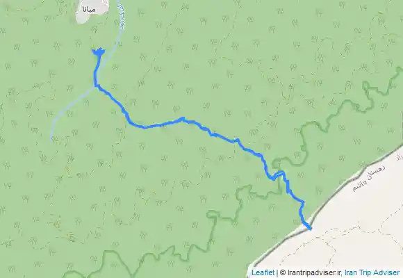 ترک جی پی اس گوگلی از باچی