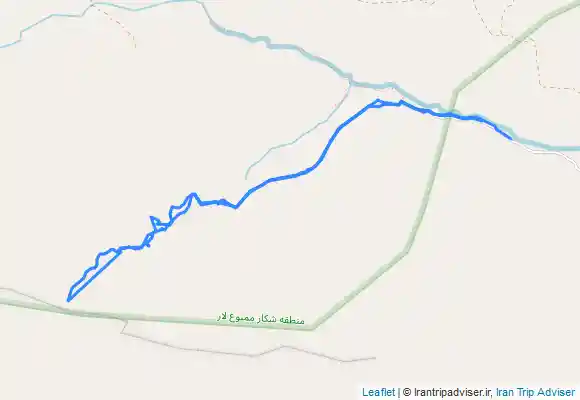 ترک جی پی اس گل زرد