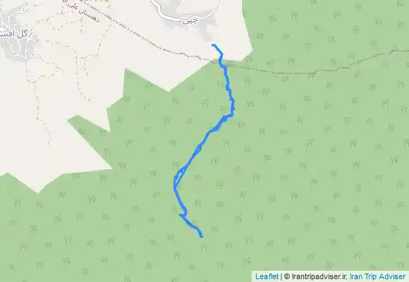 ترک جی پی اس پیمایش جنگل چپی