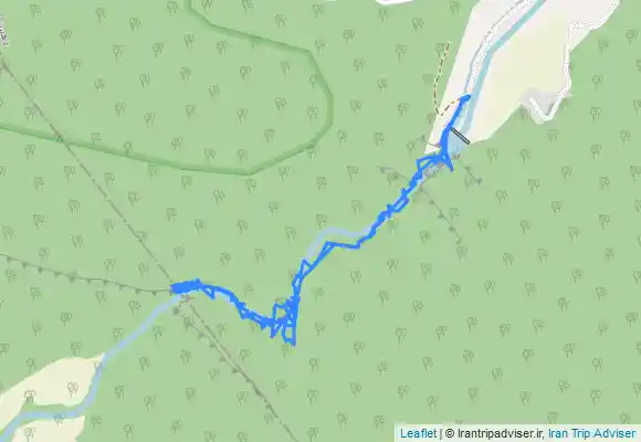 ترک جی پی اس Dom Tang