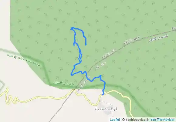 ترک جی پی اس بیلی داغ