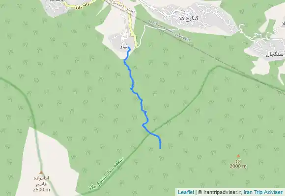ترک جی پی اس چلاو به عروس خنی