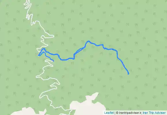 ترک جی پی اس جنگل وزوار