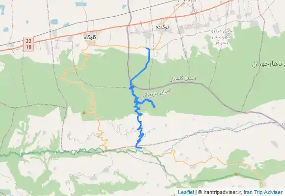 ترک جی پی اس وزوار - جنگل نرگسی