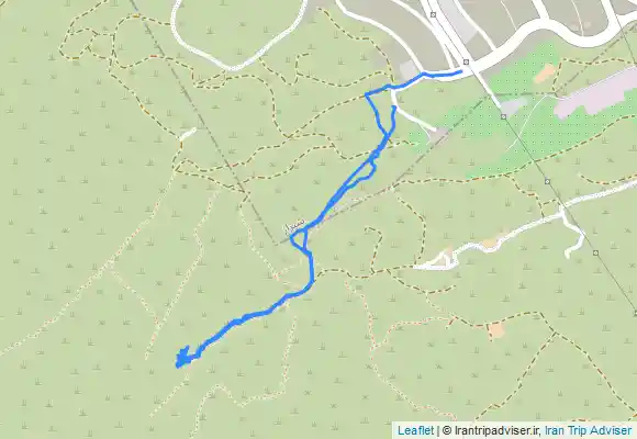 ترک جی پی اس اشکفت کلاغهای وحشی