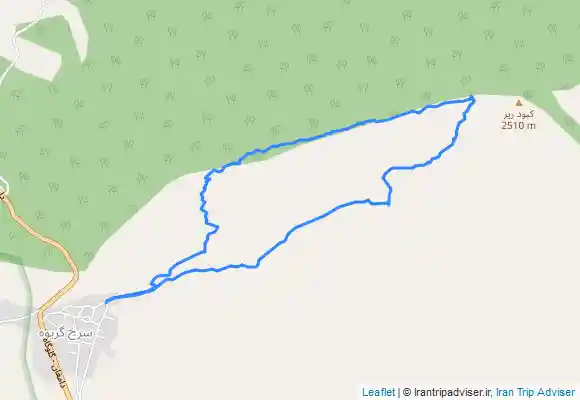 ترک جی پی اس خوشه انگور