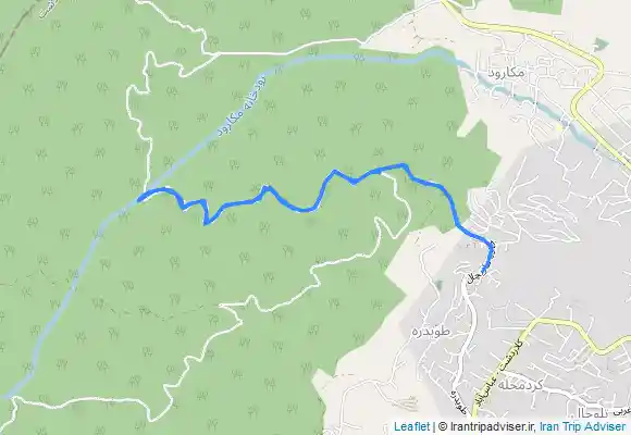 ترک جی پی اس جنگل مازیچال