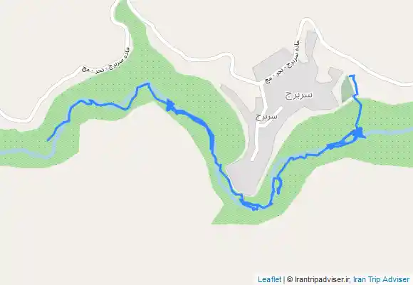 ترک جی پی اس جنگل جیغ