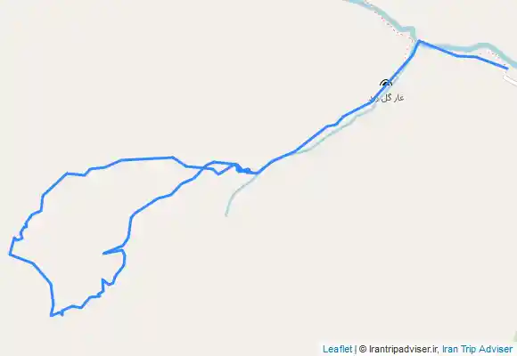 ترک جی پی اس گل زرد