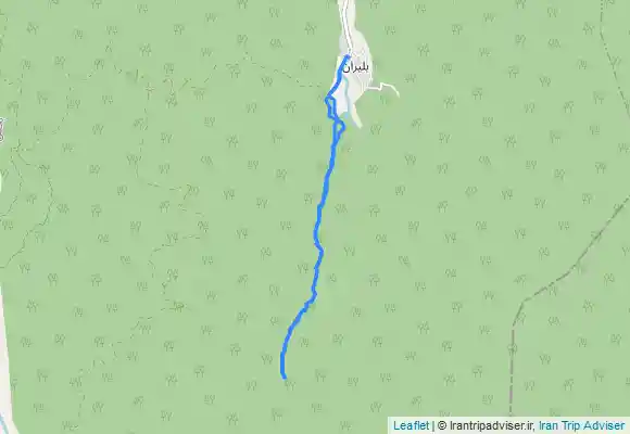 ترک جی پی اس جنگل بلیران ، جنگل بلیرون