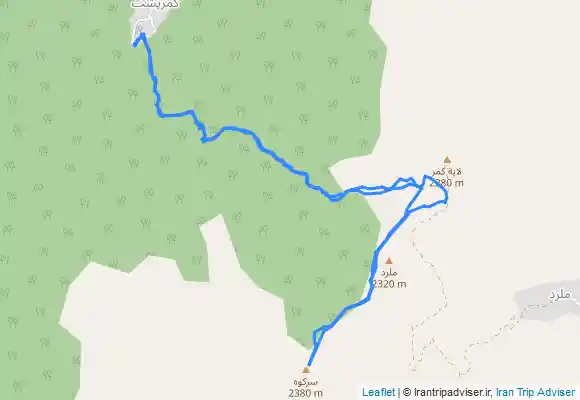 ترک جی پی اس كمر پشت