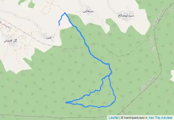 ترک جی پی اس چپی به جنگل