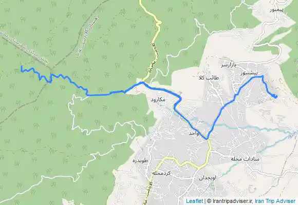 ترک جی پی اس جنگل پشت مازیچال