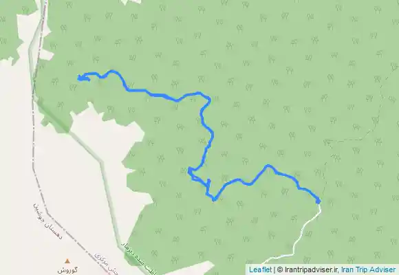 ترک جی پی اس چیچکلی به قاضی بلاغ