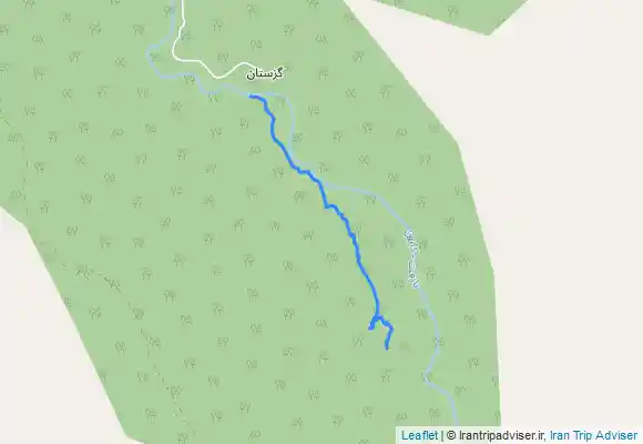 ترک جی پی اس زردلیمه برفی