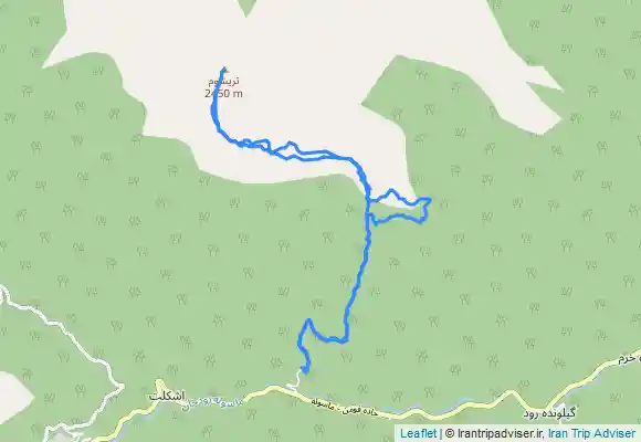 ترک جی پی اس تریشوم