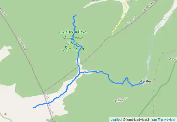ترک جی پی اس مزگده سوته دایله سر مته خانی فوشه