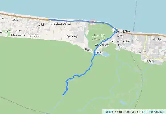 ترک جی پی اس جنگل نوردی