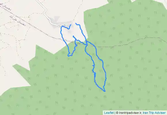 ترک جی پی اس جنگل نوردی در جنگل های چپی