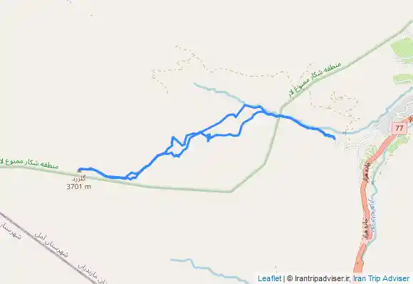 ترک جی پی اس گل زرد