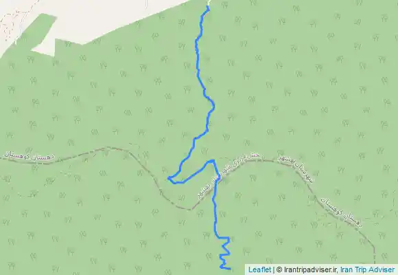 ترک جی پی اس نرگسی