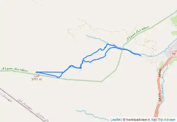 ترک جی پی اس گل زرد