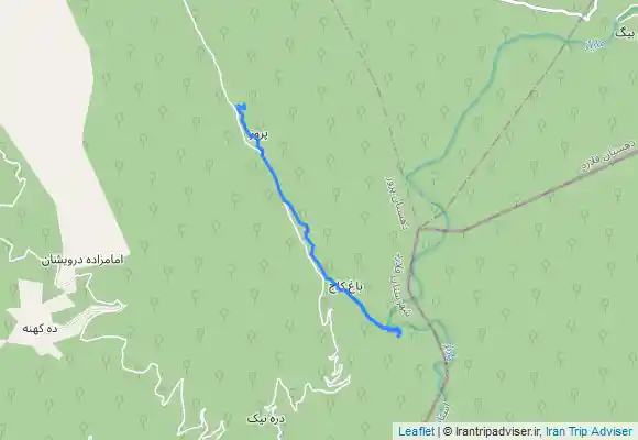 ترک جی پی اس جنگل پروز