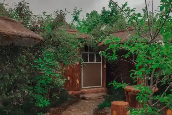 مجتمع گردشگری پاسارگاد